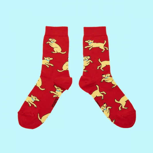 Chaussettes 35/44 - Golden Retriever rouges